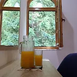 Hotel Mik