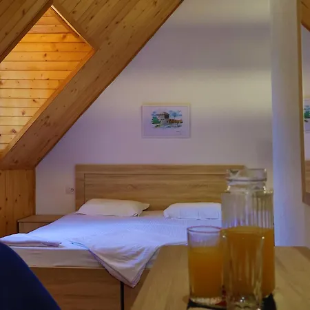 Hotel Mik *