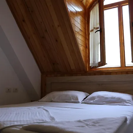 Hotel Mik *