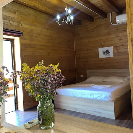 Hotel Mik *