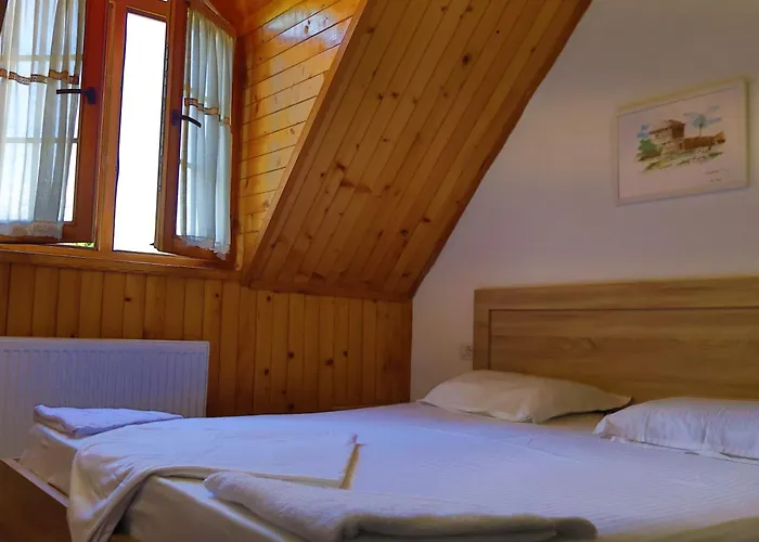 Hotel Mik