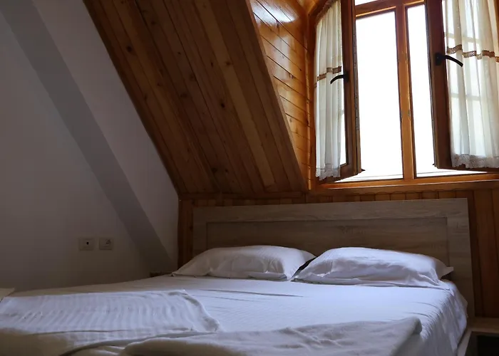 Hotel Mik *