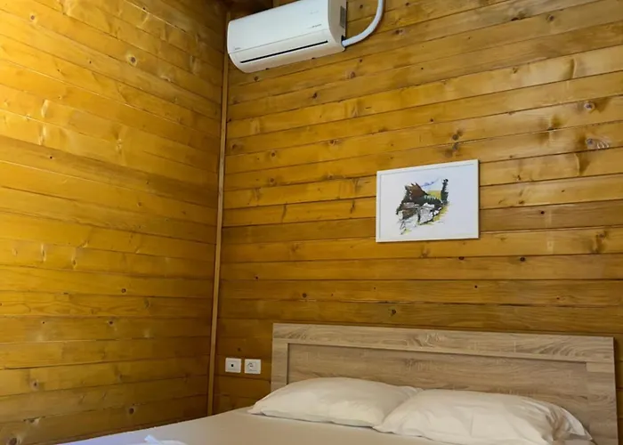 Hotel Mik Valbone